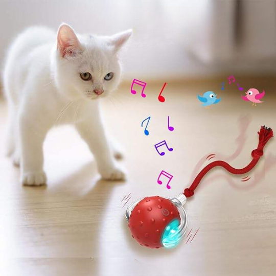 Light Up Rolling Cat Ball Toy