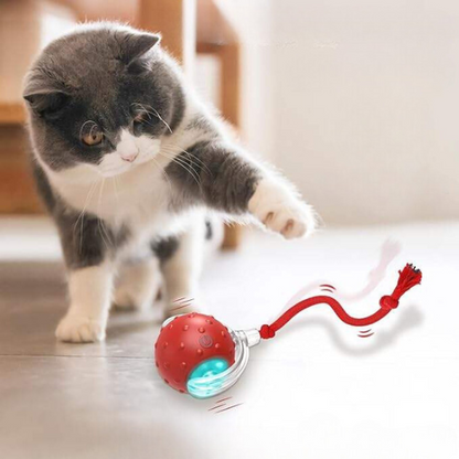 Light Up Rolling Cat Ball Toy