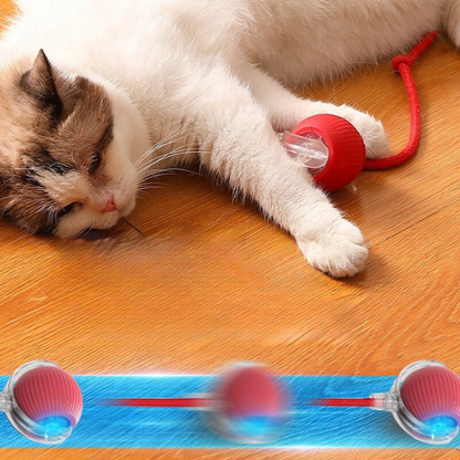 Light Up Rolling Cat Ball Toy