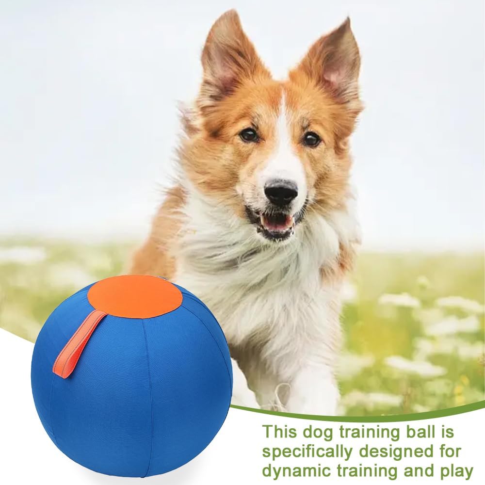 Interactive Herding Ball for Dogs