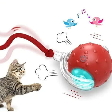 Light Up Rolling Cat Ball Toy