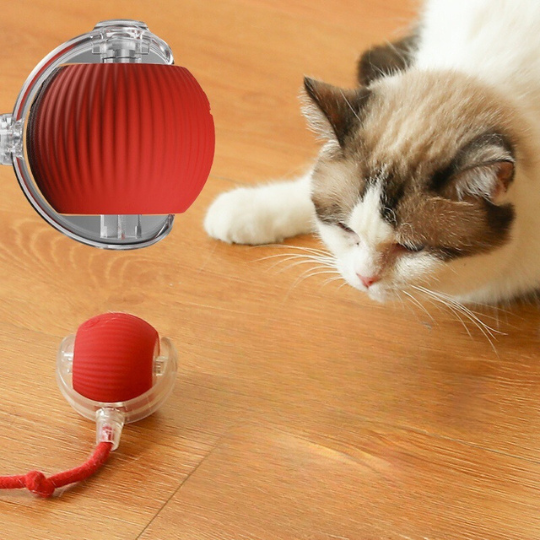 Light Up Rolling Cat Ball Toy