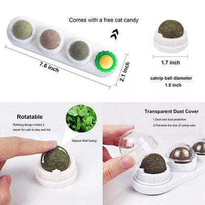 Rotating Cat Nip Balls