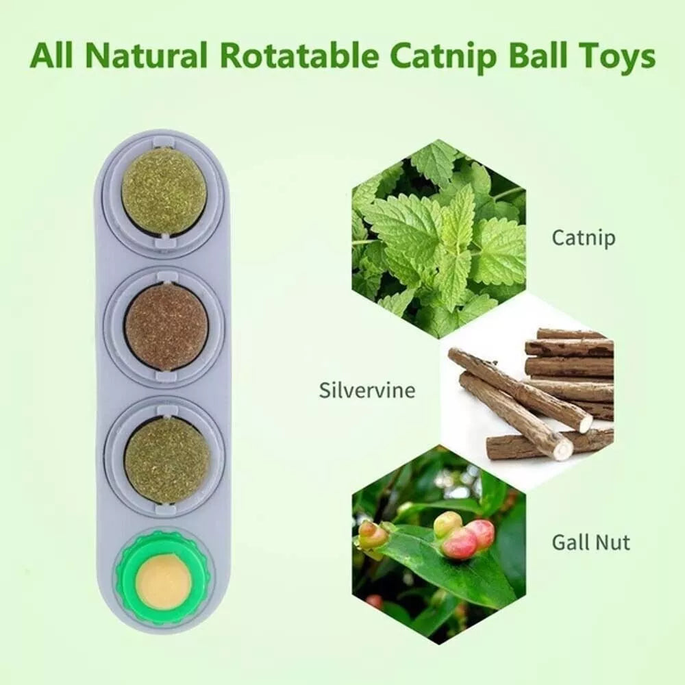 Rotating Cat Nip Balls