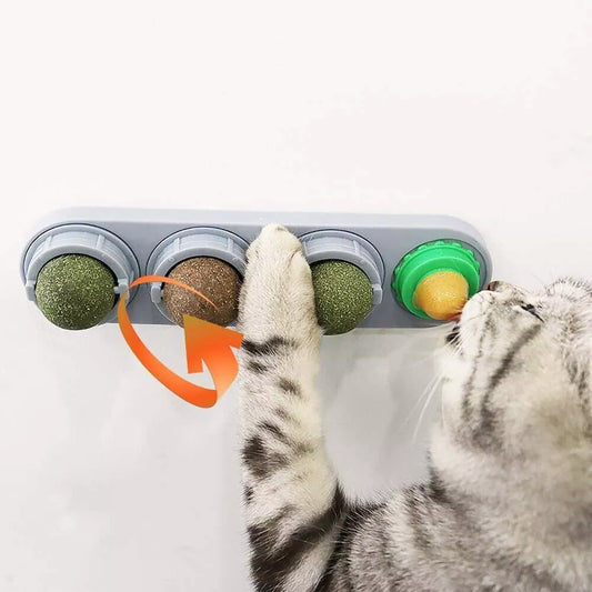 Rotating Cat Nip Balls