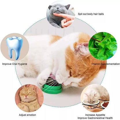 Rotating Cat Nip Balls