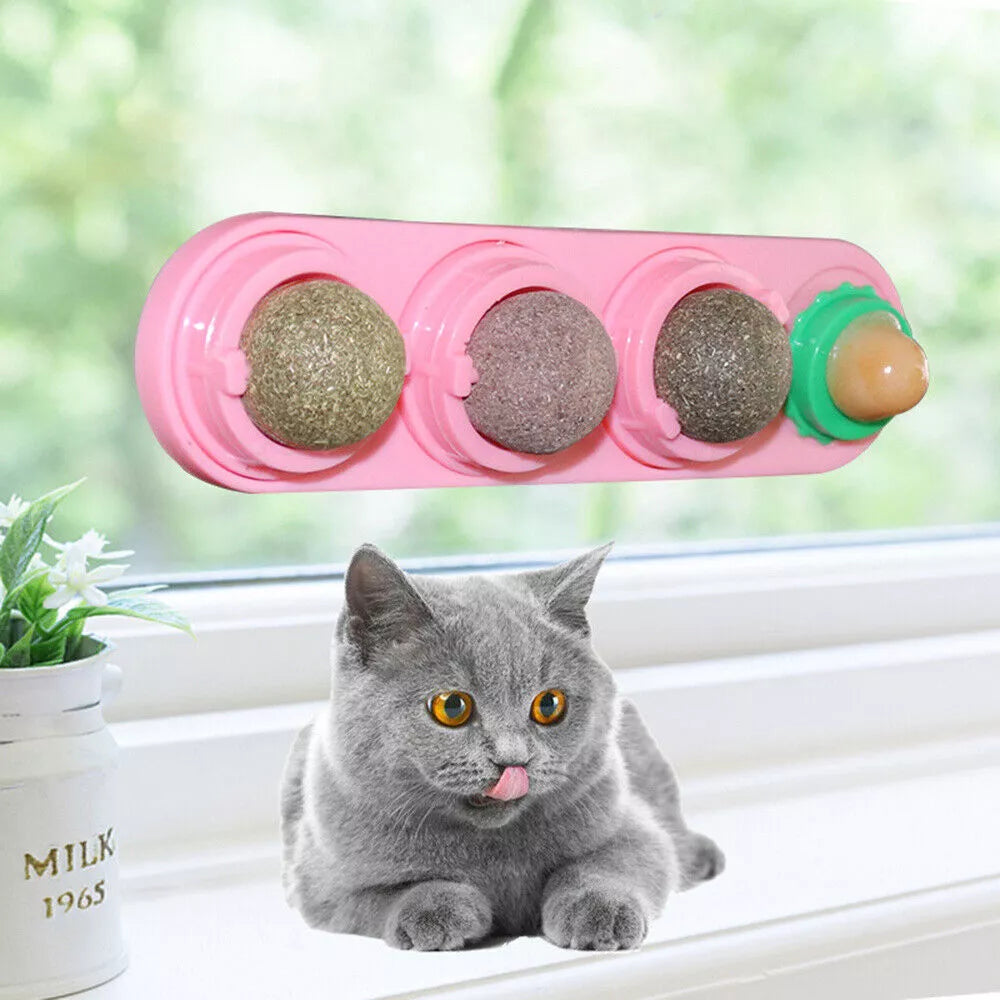 Rotating Cat Nip Balls