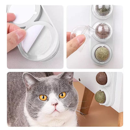 Rotating Cat Nip Balls